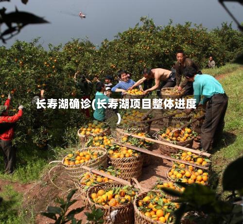 长寿湖确诊(长寿湖项目整体进度)-第2张图片