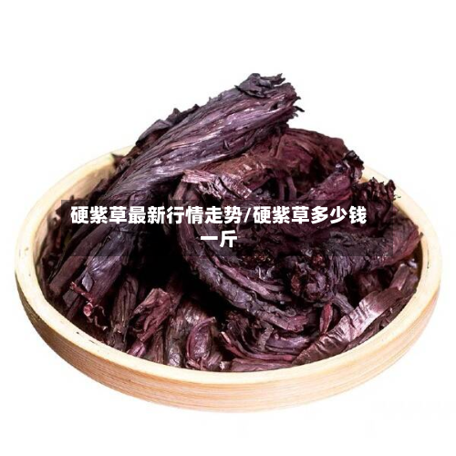 硬紫草最新行情走势/硬紫草多少钱一斤-第2张图片