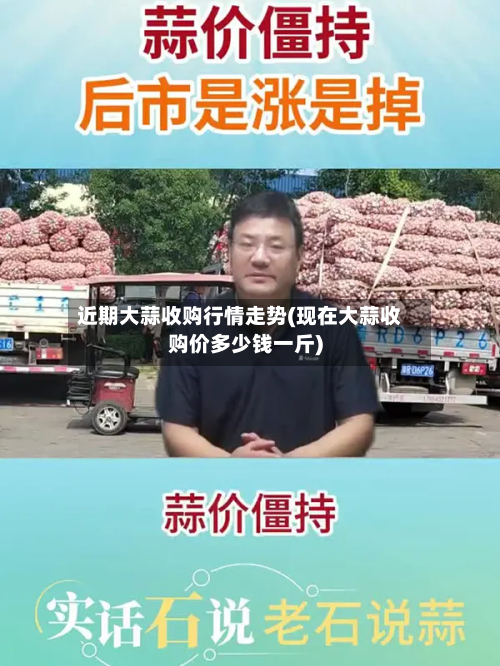 近期大蒜收购行情走势(现在大蒜收购价多少钱一斤)-第2张图片