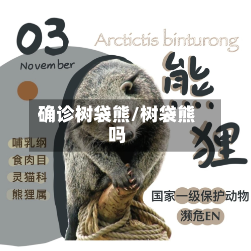 确诊树袋熊/树袋熊吗-第3张图片
