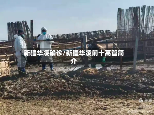 新疆华凌确诊/新疆华凌前十高管简介-第3张图片