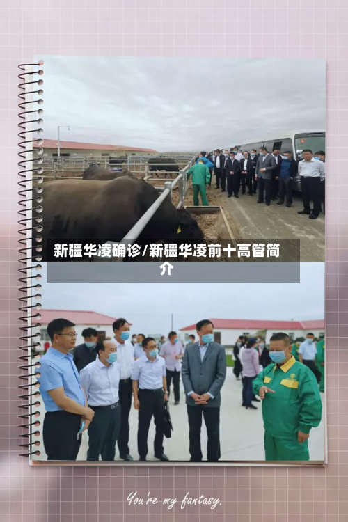 新疆华凌确诊/新疆华凌前十高管简介-第2张图片
