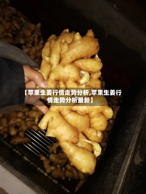 【苹果生姜行情走势分析,苹果生姜行情走势分析最新】