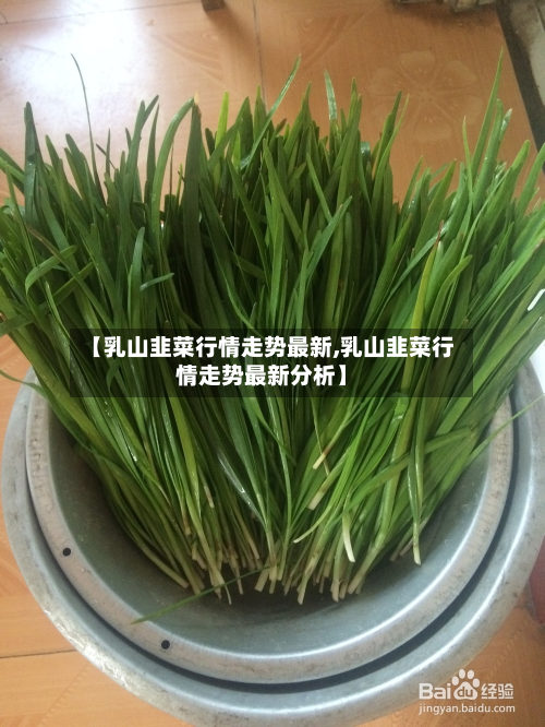 【乳山韭菜行情走势最新,乳山韭菜行情走势最新分析】-第2张图片