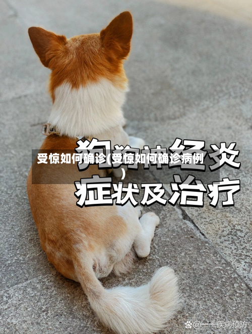 受惊如何确诊(受惊如何确诊病例)