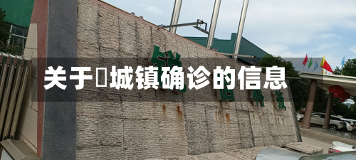关于鲖城镇确诊的信息-第2张图片