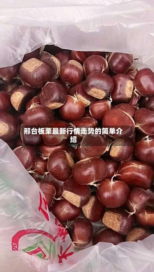 邢台板栗最新行情走势的简单介绍-第2张图片