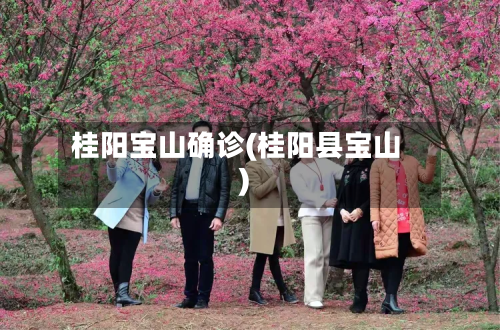 桂阳宝山确诊(桂阳县宝山)