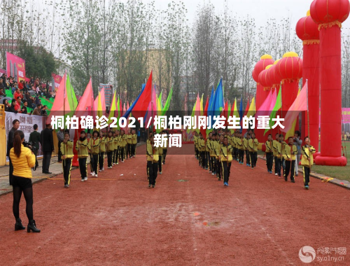 桐柏确诊2021/桐柏刚刚发生的重大新闻