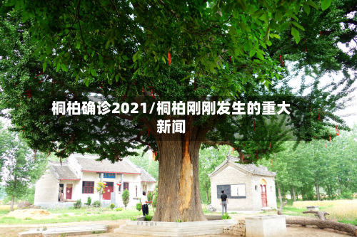 桐柏确诊2021/桐柏刚刚发生的重大新闻-第2张图片