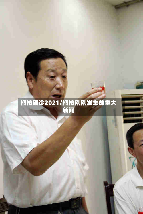桐柏确诊2021/桐柏刚刚发生的重大新闻-第3张图片