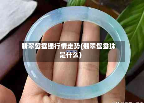 翡翠鸳鸯镯行情走势(翡翠鸳鸯珠是什么)