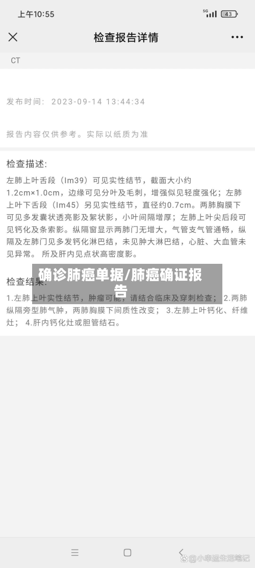 确诊肺癌单据/肺癌确证报告