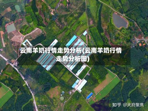 云南羊奶行情走势分析(云南羊奶行情走势分析图)