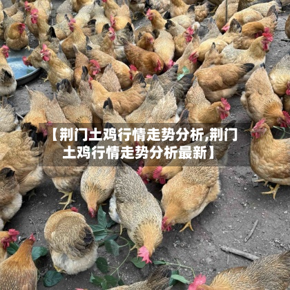 【荆门土鸡行情走势分析,荆门土鸡行情走势分析最新】