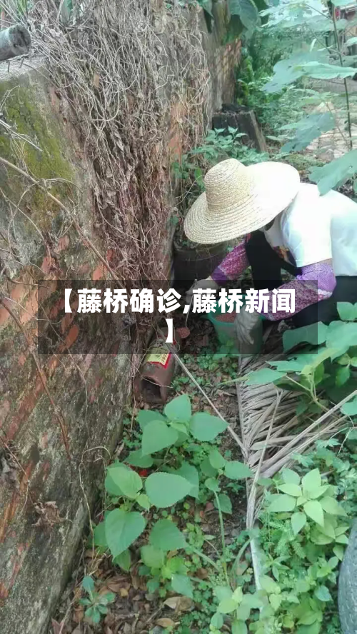 【藤桥确诊,藤桥新闻】