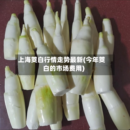 上海茭白行情走势最新(今年茭白的市场费用)-第3张图片
