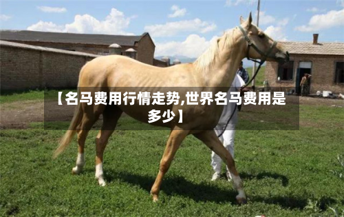 【名马费用行情走势,世界名马费用是多少】