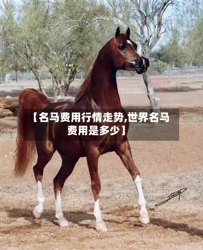 【名马费用行情走势,世界名马费用是多少】-第2张图片