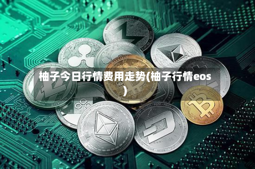 柚子今日行情费用走势(柚子行情eos)