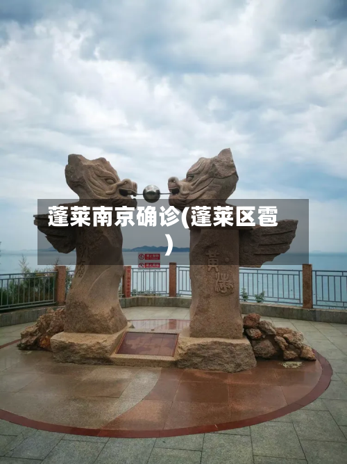 蓬莱南京确诊(蓬莱区雹)-第2张图片