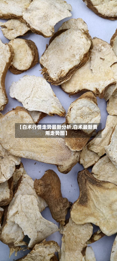 【白术行情走势最新分析,白术最新费用走势图】