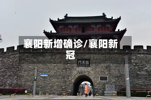 襄阳新增确诊/襄阳新冠-第2张图片
