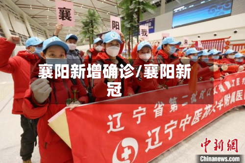 襄阳新增确诊/襄阳新冠