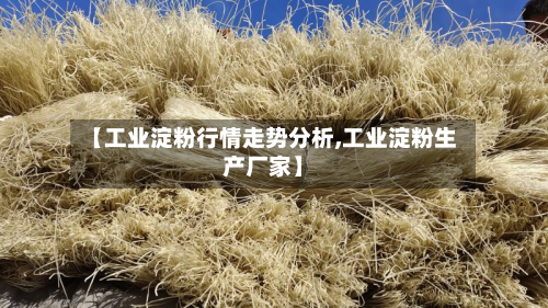【工业淀粉行情走势分析,工业淀粉生产厂家】