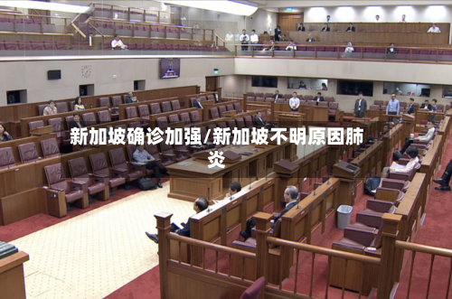 新加坡确诊加强/新加坡不明原因肺炎