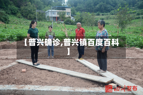 【普兴确诊,普兴镇百度百科】-第2张图片