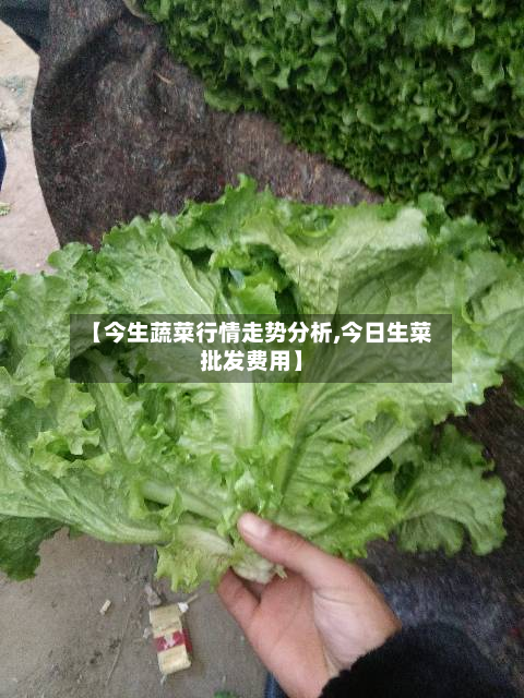 【今生蔬菜行情走势分析,今日生菜批发费用】