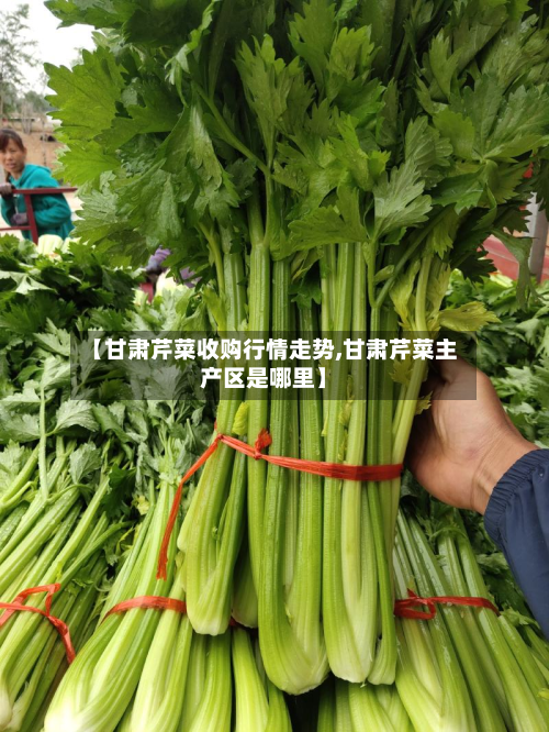【甘肃芹菜收购行情走势,甘肃芹菜主产区是哪里】