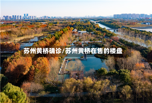 苏州黄桥确诊/苏州黄桥在售的楼盘-第3张图片