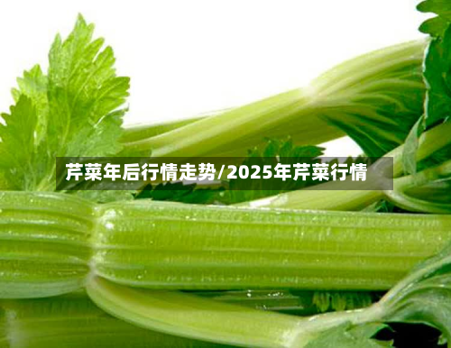 芹菜年后行情走势/2025年芹菜行情