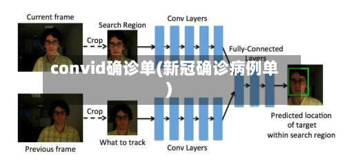 convid确诊单(新冠确诊病例单)