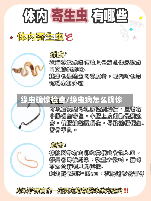 绦虫确诊检查/绦虫病怎么确诊-第2张图片