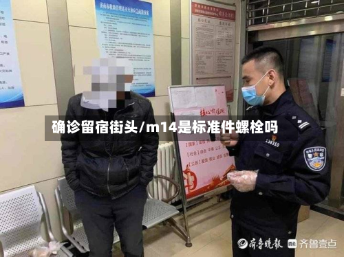 确诊留宿街头/m14是标准件螺栓吗-第2张图片