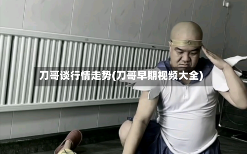 刀哥谈行情走势(刀哥早期视频大全)