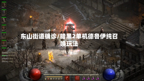 东山街道确诊/暗黑2单机德鲁伊纯召唤玩法-第2张图片