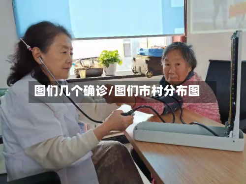 图们几个确诊/图们市村分布图