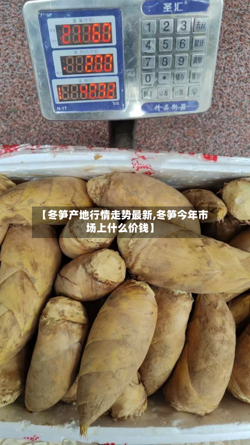 【冬笋产地行情走势最新,冬笋今年市场上什么价钱】-第2张图片