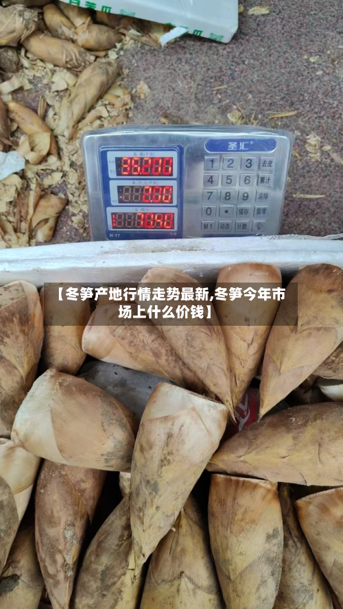 【冬笋产地行情走势最新,冬笋今年市场上什么价钱】-第3张图片