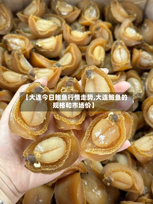 【大连今日鲍鱼行情走势,大连鲍鱼的规格和市场价】-第3张图片