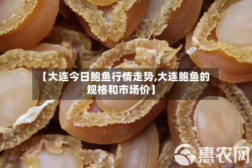 【大连今日鲍鱼行情走势,大连鲍鱼的规格和市场价】