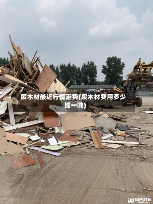 废木材最近行情走势(废木材费用多少钱一吨)-第2张图片