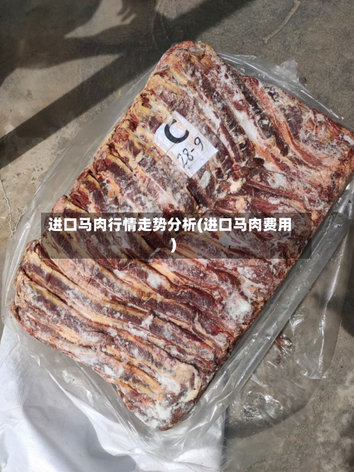 进口马肉行情走势分析(进口马肉费用)
