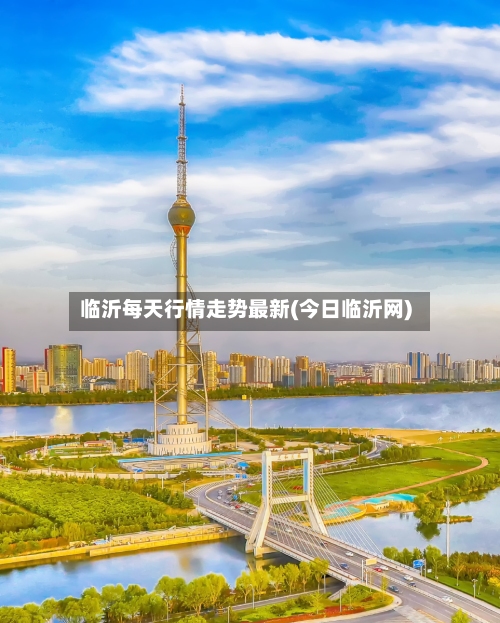 临沂每天行情走势最新(今日临沂网)
