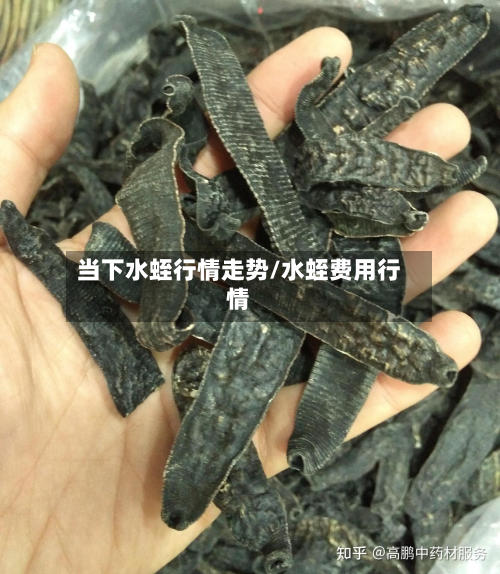 当下水蛭行情走势/水蛭费用行情-第2张图片
