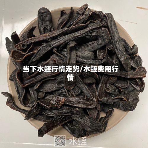 当下水蛭行情走势/水蛭费用行情-第3张图片